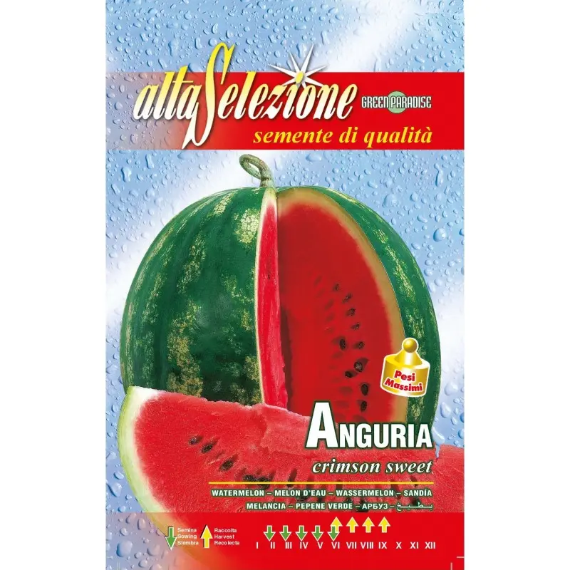 Seminte pepene verde Crimson Sweet Alta Selezione Qualita