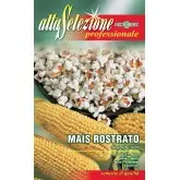 Seminte porumb Popcorn Alta Selezione Qualita
