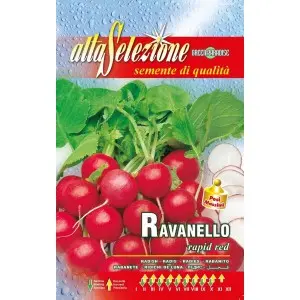 Seminte ridichi de luna Rapid Red Alta Selezione Qualita
