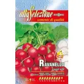 Seminte ridichi de luna Rapid Red Alta Selezione Qualita