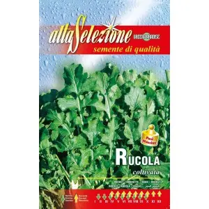 Seminte rucola Coltivata Alta Selezione Qualita