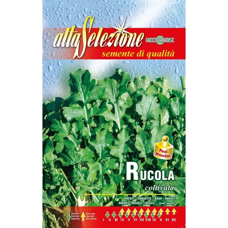 Seminte rucola Coltivata Alta Selezione Qualita