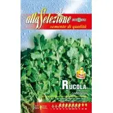 Seminte rucola Coltivata Alta Selezione Qualita