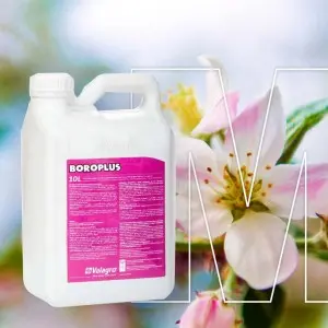 Biostimulator Boroplus