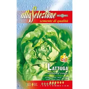 Seminte salata Trionfo D'Estate Alta Selezione Qualita