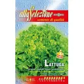 Seminte salata Gentilina Alta Selezione Qualita