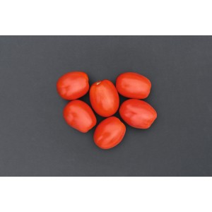 Seminte tomate Plum Regal F1