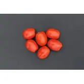 Seminte tomate Plum Regal F1