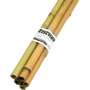 Tutore din bambus, Ø14-16 mm, 180 cm, set 5 buc