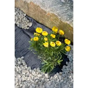 Folie microporoasa neagra pentru mulcire, Horti-Stop, 50 g/mp