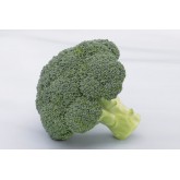 Seminte broccoli Batory F1