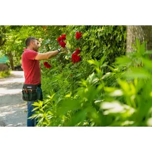 Suport curea pentru unelte de taiat, 27 x 26.5 cm