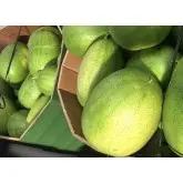 Seminte pepene verde Elghali F1