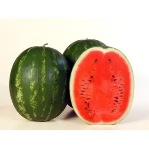Seminte pepene verde Karistan F1