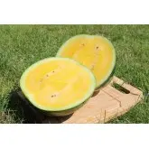 Seminte pepene verde Yellow Bite F1