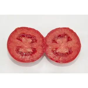 Seminte tomate Firmus F1