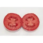 Seminte tomate Firmus F1