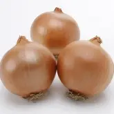 Seminte ceapa Ambrador F1