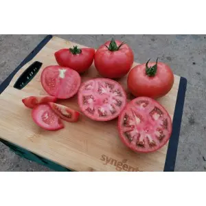 Seminte tomate Manekro F1