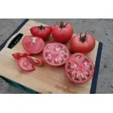 Seminte tomate Manekro F1