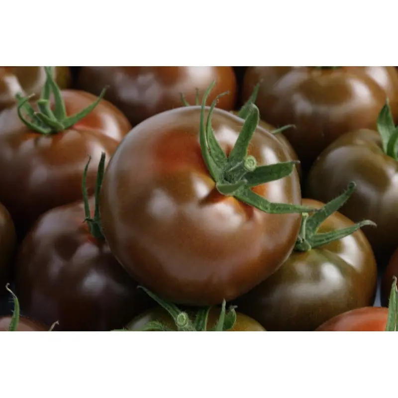 Seminte tomate Olmeca F1