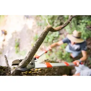 Cleste tip nicovala, pentru taiat crengi, cu maner telescopic 75 - 100 cm