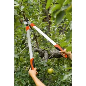Cleste tip nicovala, pentru taiat crengi, cu lama curbata, 66 cm