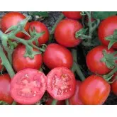 Seminte tomate Albarossa F1