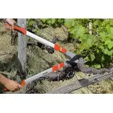 Cleste tip bypass, pentru taiat crengi, cu maner telescopic 75 - 100 cm