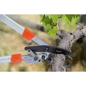 Cleste tip nicovala cu clichet pentru taiat crengi, cu maner telescopic 75 - 100 cm