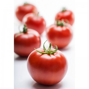 Seminte tomate Joker F1