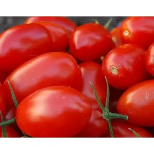 Seminte tomate Fenomena F1