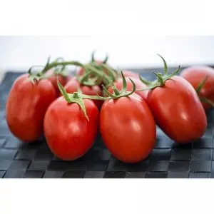 Seminte tomate Rio Grande
