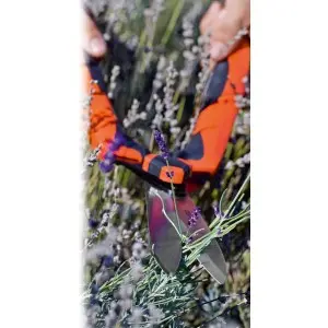 Foarfeca pentru tuns gard viu, cu lama dreapta, 55 cm