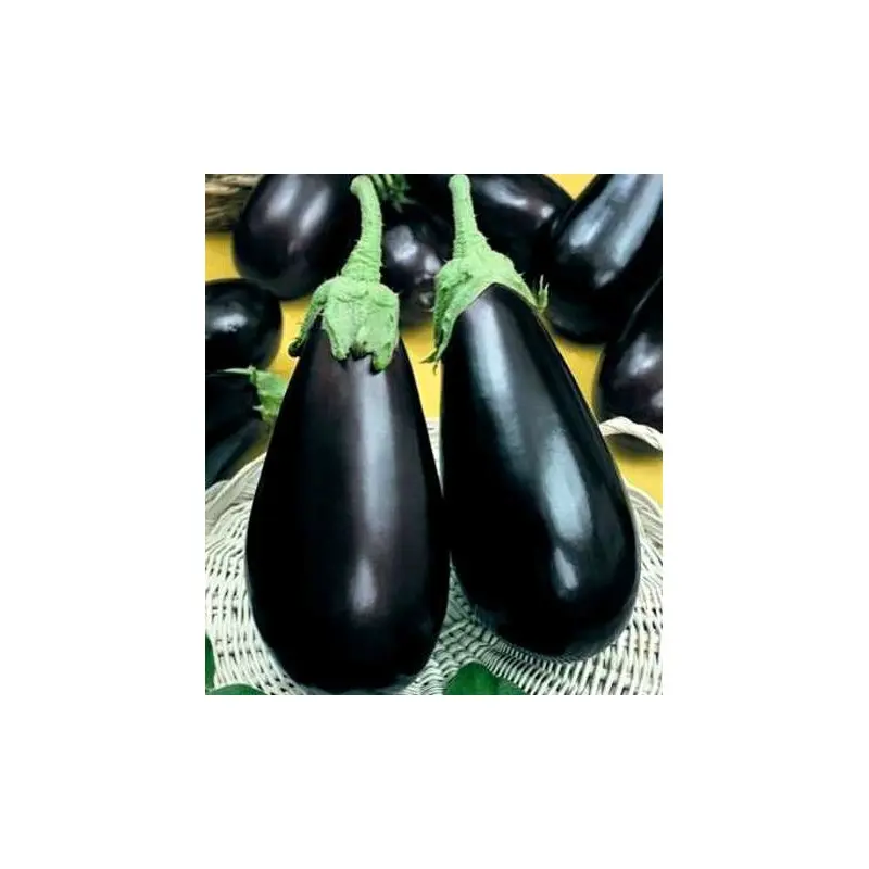 Seminte vinete Vernal F1