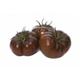 Seminte tomate Bucanero F1