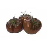 Seminte tomate Bucanero F1