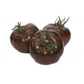 Seminte tomate 132-283 F1