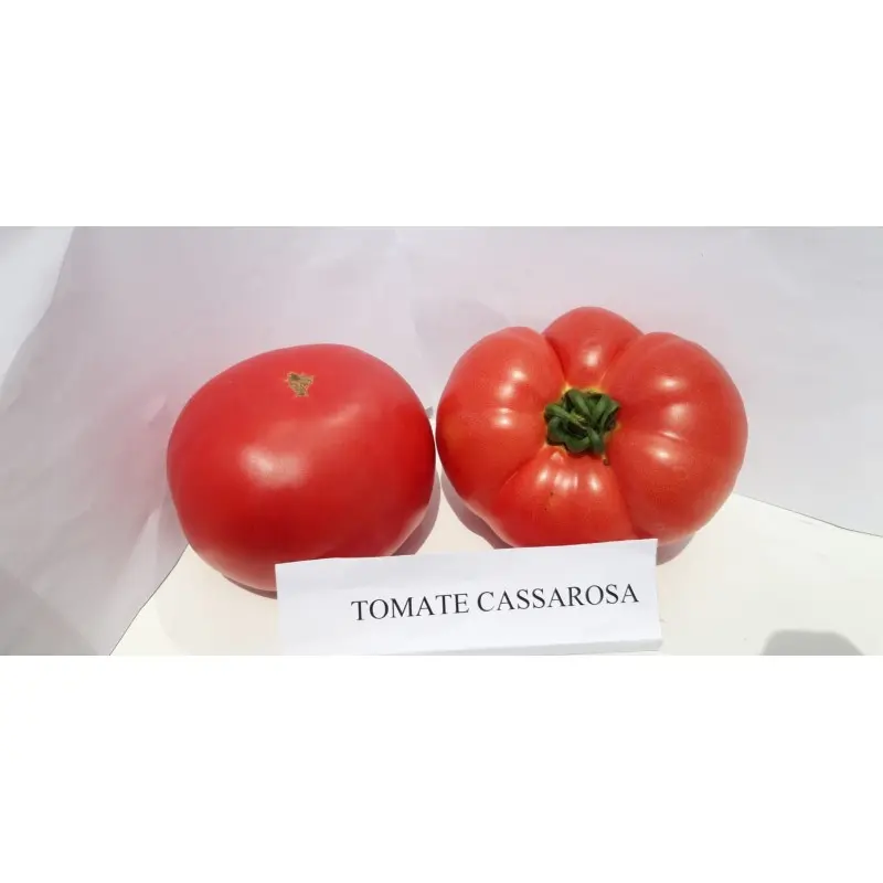 Seminte tomate Cassarosa F1