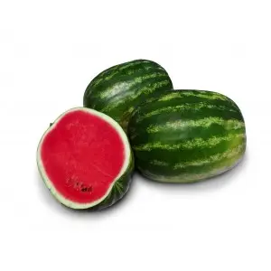 Seminte pepene verde Grizzly F1 (ZKI 10541 F1)