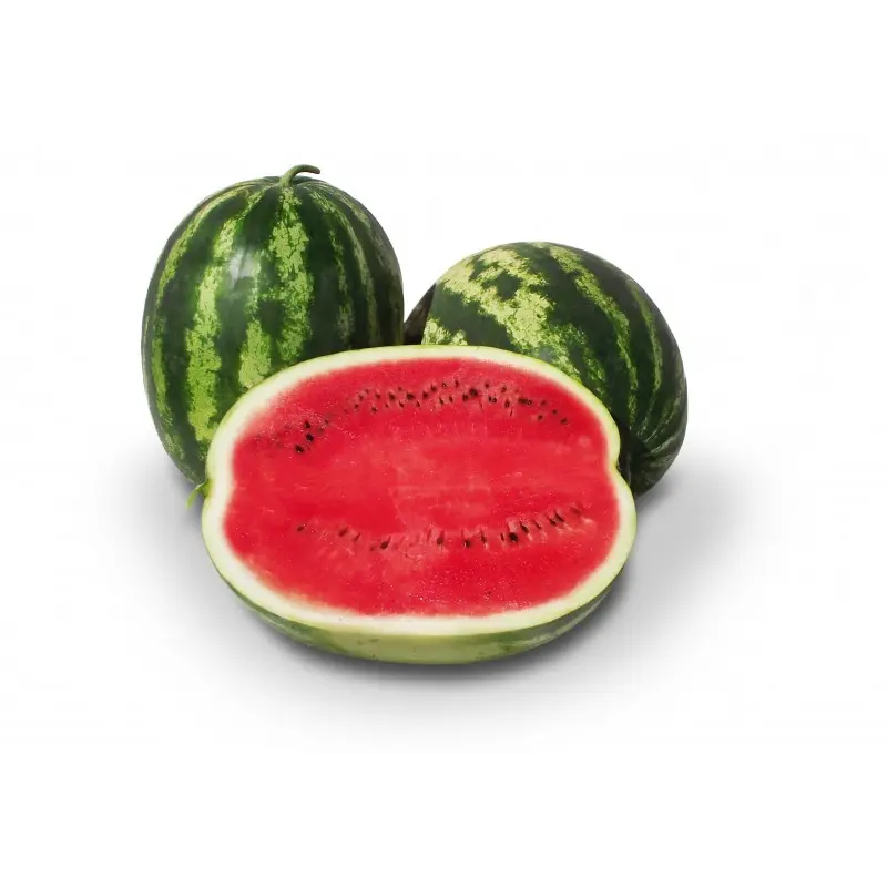 Seminte pepene verde Stabilo F1 (ZKI 10142 F1)