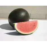 Seminte pepene verde Nosztalgia F1 (ZKI 290 F1)