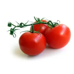 Seminte tomate Mano F1