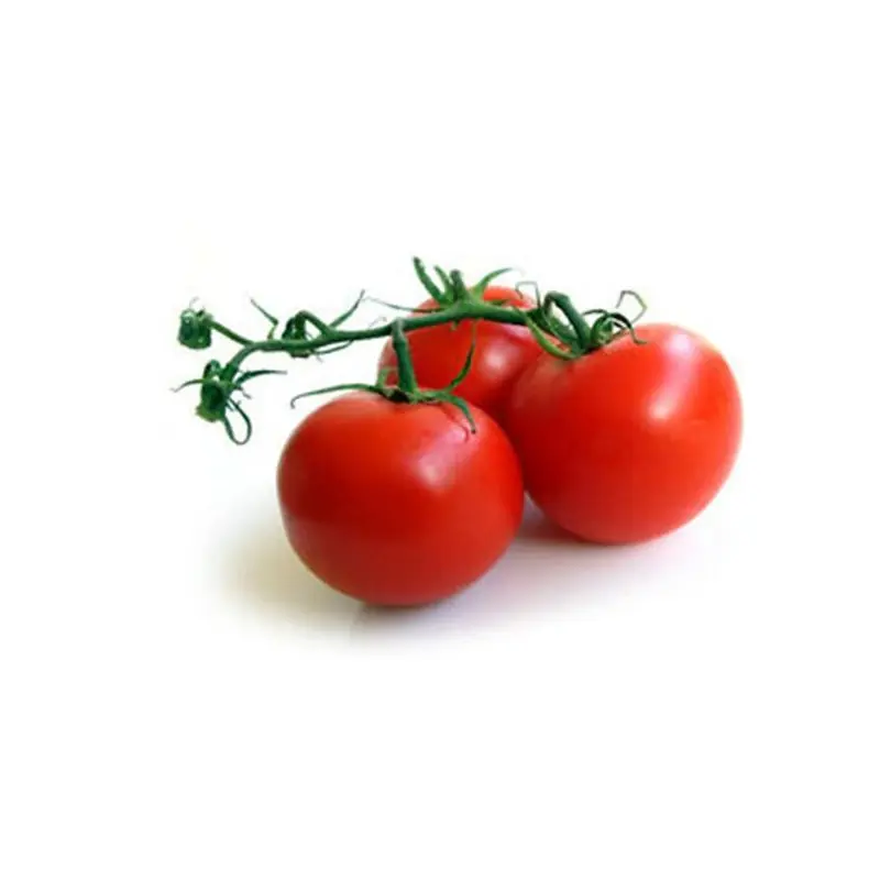 Seminte tomate Mano F1