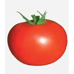 Seminte tomate Mobil