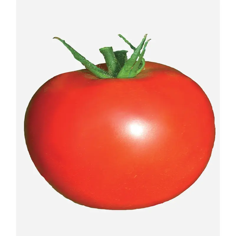 Seminte tomate Mobil