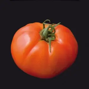 Seminte tomate Roker
