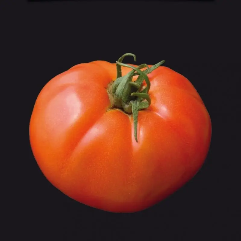 Seminte tomate Roker