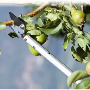 Foarfeca profesionala pentru taiat tip bypass, cu brat lung 200 cm