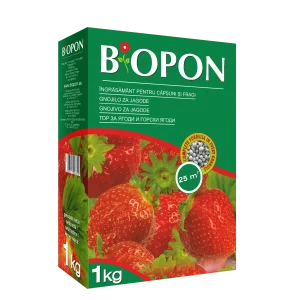 Ingrasamant granulat de toamna pentru capsuni si fragi Biopon